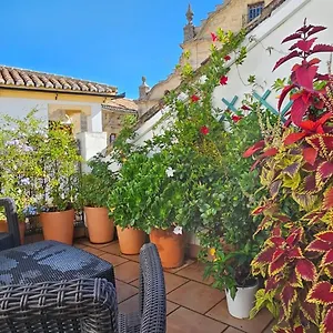  Apartment Descalzos Angel With Private Terrace Free Parking